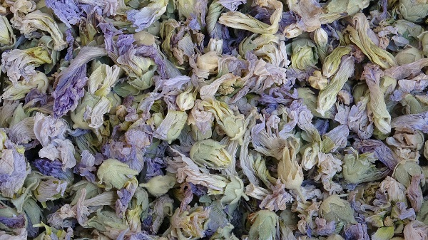 Foto - Son zamanlarda yok satıyor! Mevsim geçişi onların yüzünü güldürdü