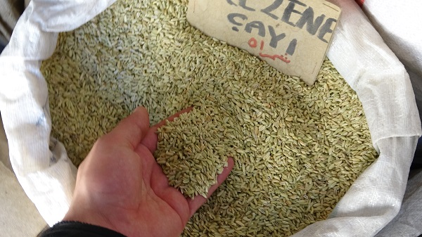 Foto - Son zamanlarda yok satıyor! Mevsim geçişi onların yüzünü güldürdü