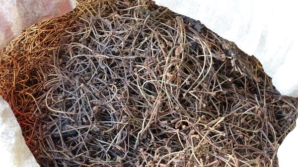 Foto - Son zamanlarda yok satıyor! Mevsim geçişi onların yüzünü güldürdü