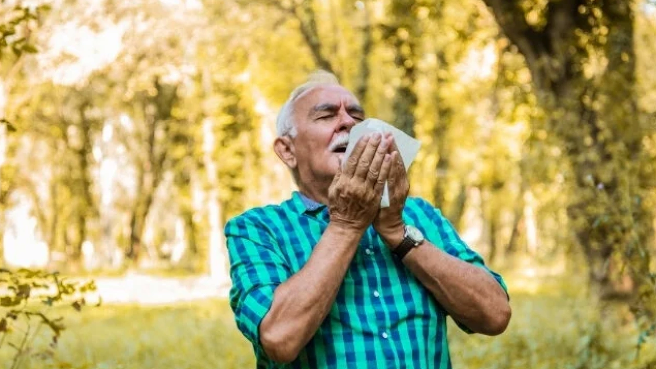 Foto - ‘Sonbahar alerjisi’ne dikkat! Şok eden hastalıklarla karşı karşıya kalınabilir… 