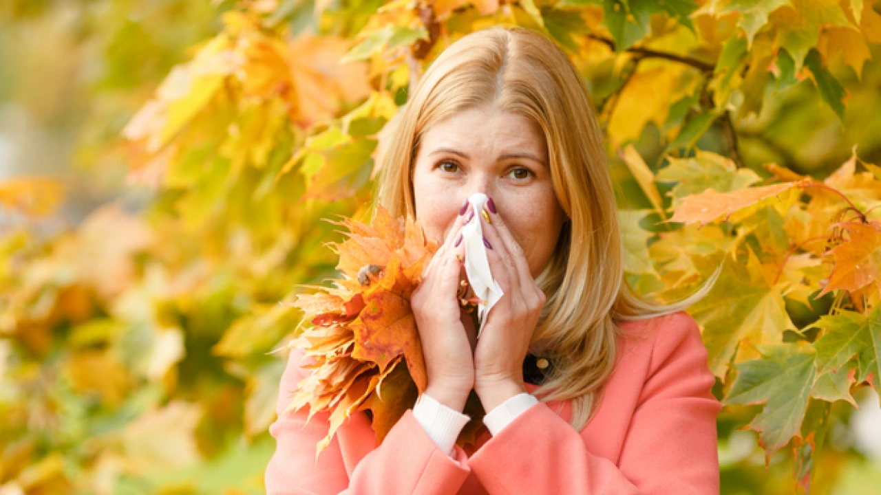 Foto - ‘Sonbahar alerjisi’ne dikkat! Şok eden hastalıklarla karşı karşıya kalınabilir… 