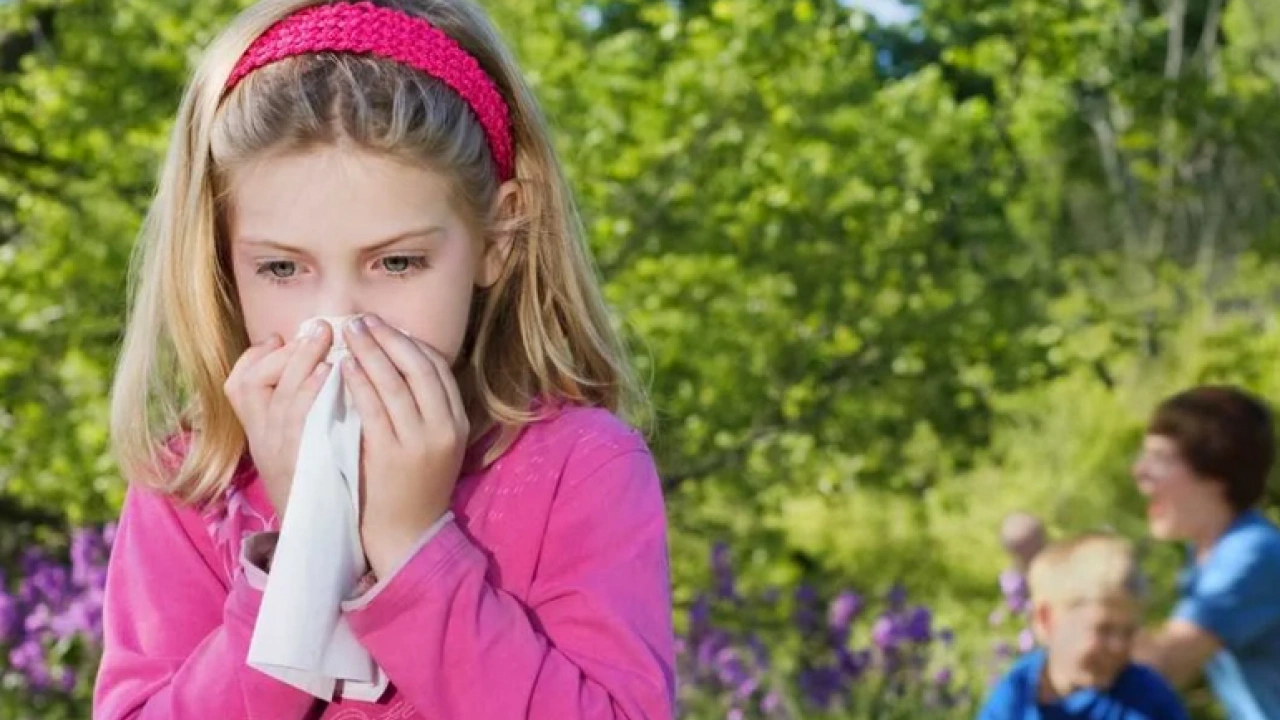 Foto - ‘Sonbahar alerjisi’ne dikkat! Şok eden hastalıklarla karşı karşıya kalınabilir… 