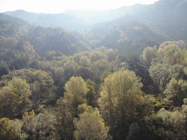 Foto - Sonbahar güzelliği havadan görüntülendi