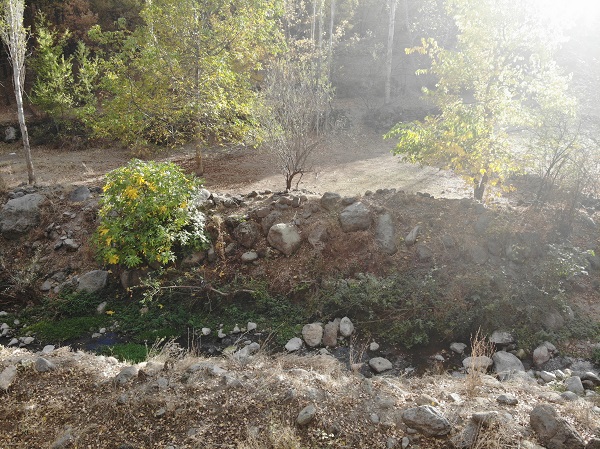 Foto - Sonbahar güzelliği havadan görüntülendi