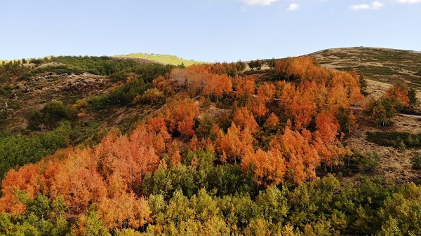 Foto - Sonbahar güzelliği mest etti! Dünyanın diğer ucu değil Türkiye