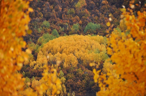 Foto - Sonbahar renkleri mest ediyor