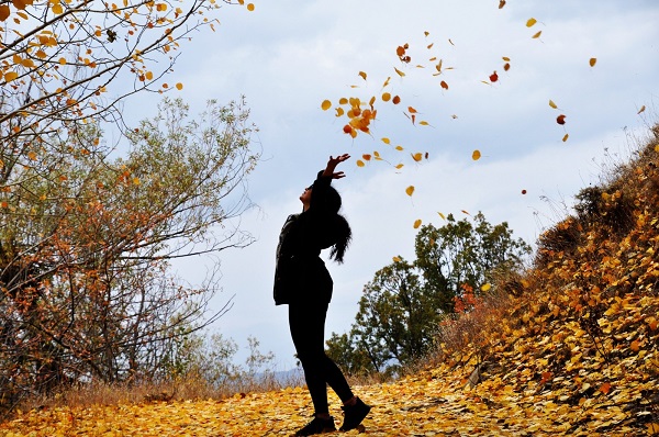 Foto - Sonbahar renkleri mest ediyor