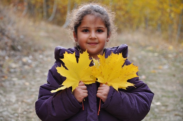 Foto - Sonbahar renkleri mest ediyor