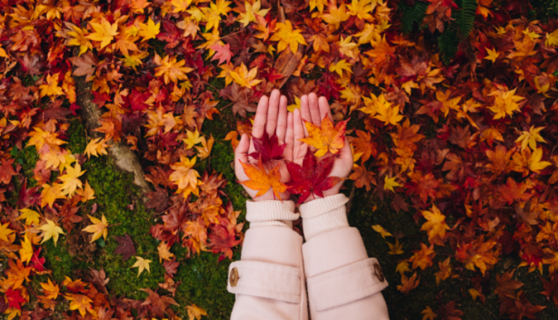 Foto - Sonbahar yorgunluğunu önlemenin 5 yolu