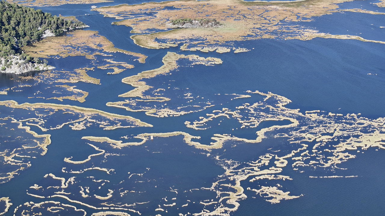 Foto - Sonbaharda bile dolup taşıyor! Dalyan’ın kalbinde gizli bir labirent