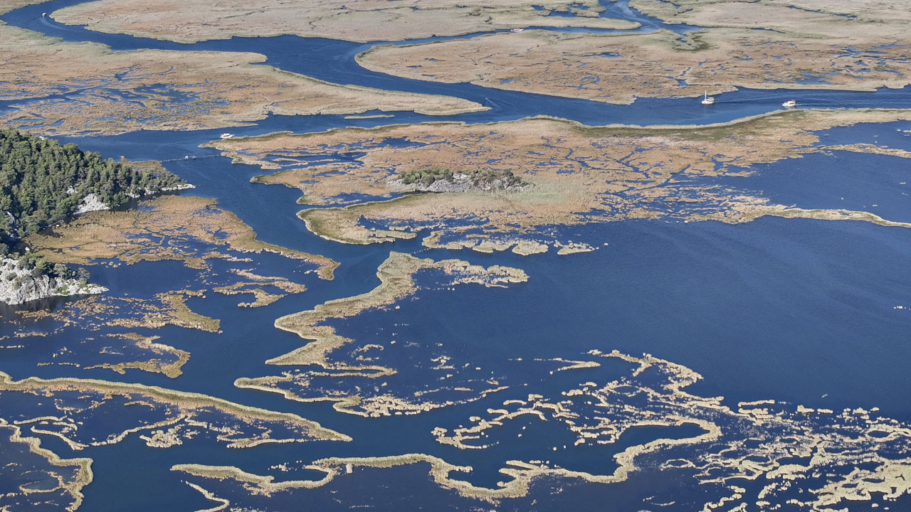 Sonbaharda bile dolup taşıyor! Dalyan’ın kalbinde gizli bir labirent