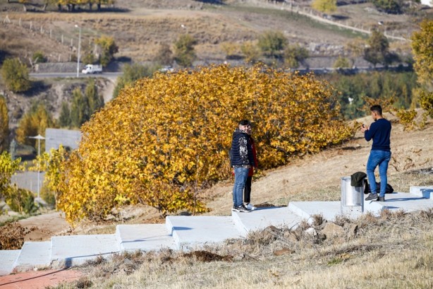 Foto - Sonbaharda Diyarbakır böyle görüntülendi