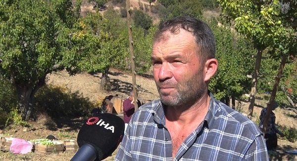 Foto - Sonbaharda toplanıyor, kışın satılıyor