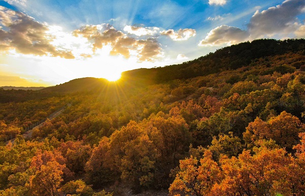 Foto - Sonbaharın en güzel hali