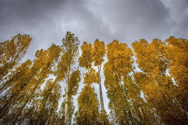 Foto - Sonbaharın en güzel hali