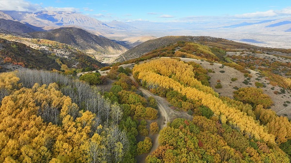 Foto - Sonbaharın en güzel hali