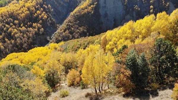 Foto - Sonbaharın mest eden tonları
