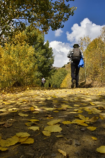 Foto - Sonbaharın renkleri her yeri sardı