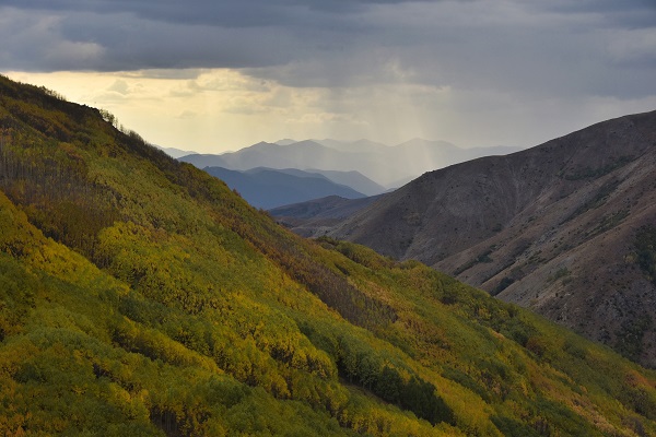 Foto - Sonbaharın renkleri her yeri sardı