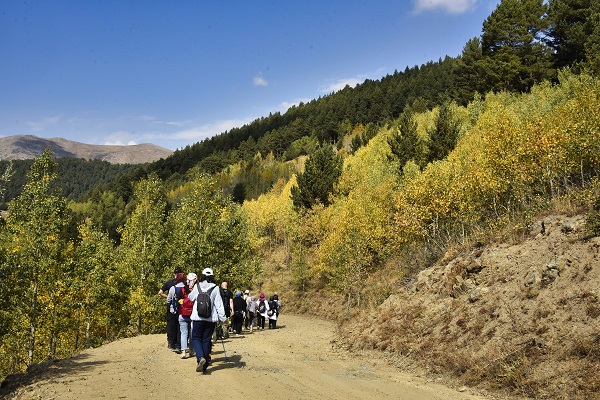 Foto - Sonbaharın renkleri her yeri sardı