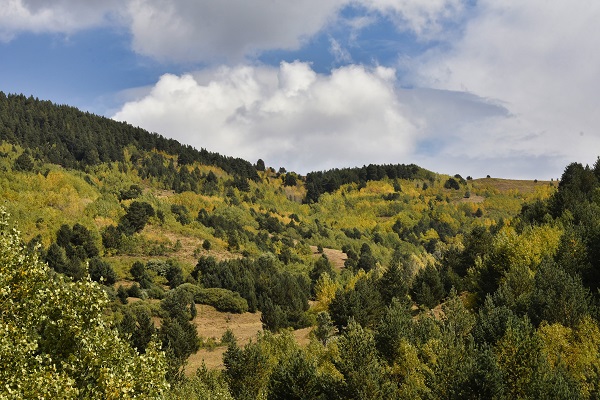 Foto - Sonbaharın renkleri her yeri sardı