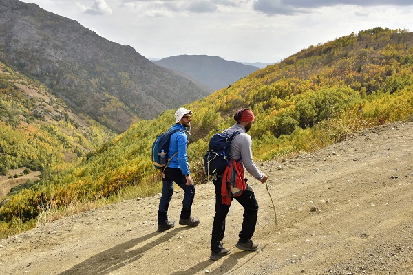 Foto - Sonbaharın renkleri her yeri sardı