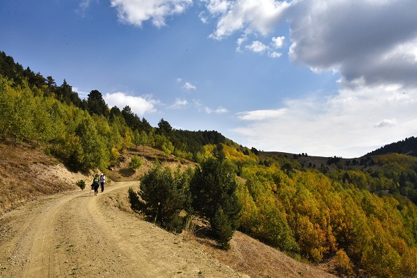 Foto - Sonbaharın renkleri her yeri sardı