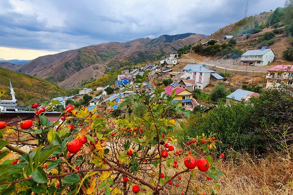 Foto - Sonbaharın renkleri her yeri sardı