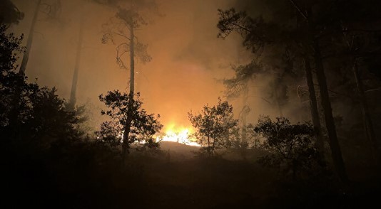 Foto - Sonu feci bitti! Siz siz olun böyle şakalar yapmayın