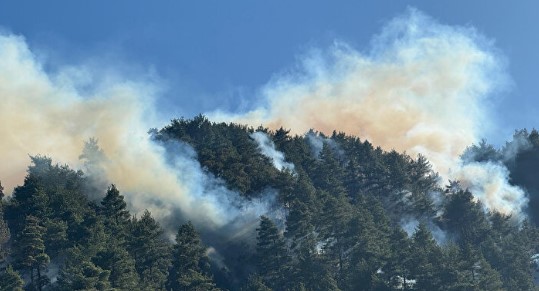 Foto - Sonu feci bitti! Siz siz olun böyle şakalar yapmayın