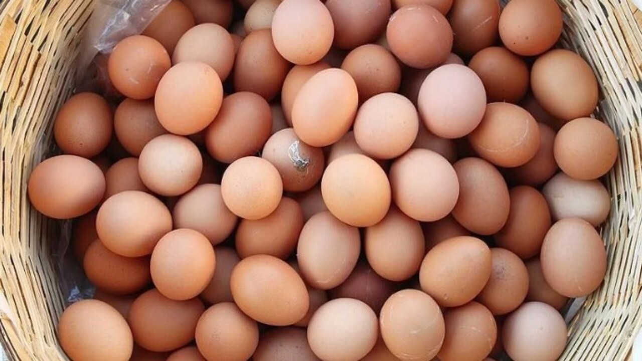 Foto - Sonuca çok şaşıracaksınız! Yumurtayla ilgili ilginç gerçek açıklandı