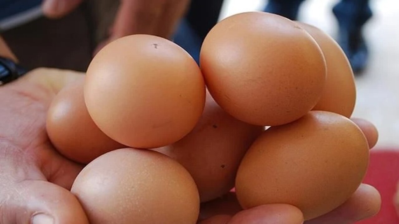 Foto - Sonuca çok şaşıracaksınız! Yumurtayla ilgili ilginç gerçek açıklandı