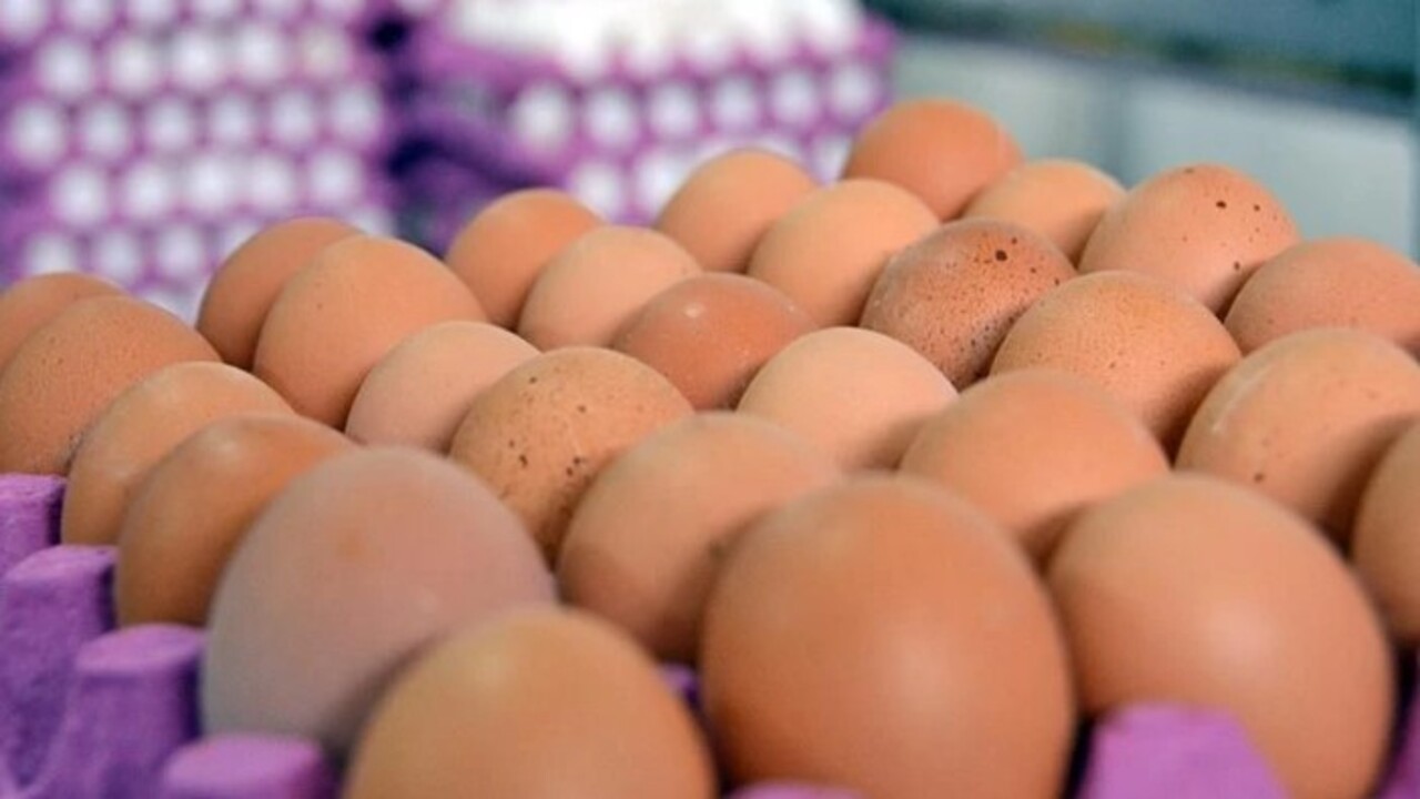 Sonuca çok şaşıracaksınız! Yumurtayla ilgili ilginç gerçek açıklandı