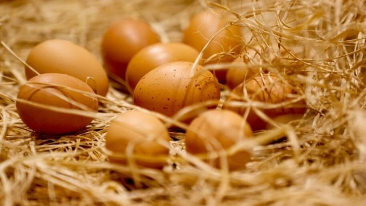 Foto - Sonuca çok şaşıracaksınız! Yumurtayla ilgili ilginç gerçek açıklandı