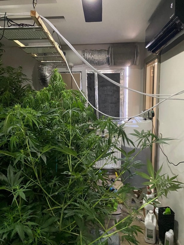 Sonunda bunu da gördük! Uyuşturucu serası kurdular