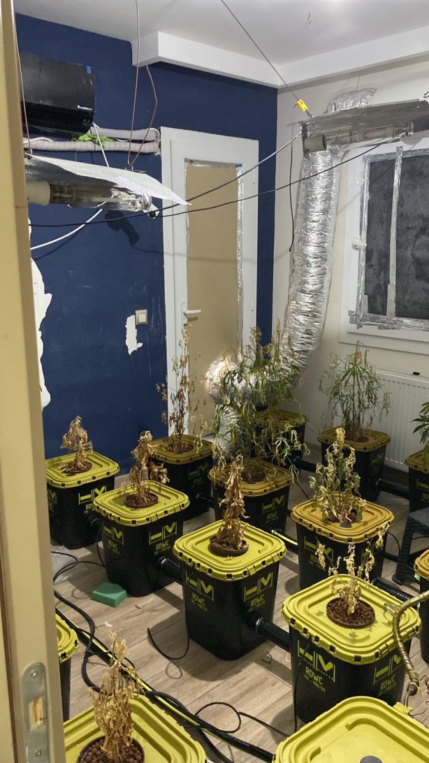 Foto - Sonunda bunu da gördük! Uyuşturucu serası kurdular