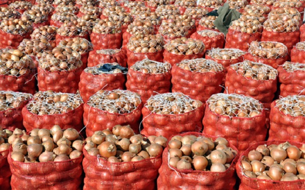 Foto - Sonunda sır çözüldü | Bakın soğan doğrarken neden ağlıyormuşuz! 