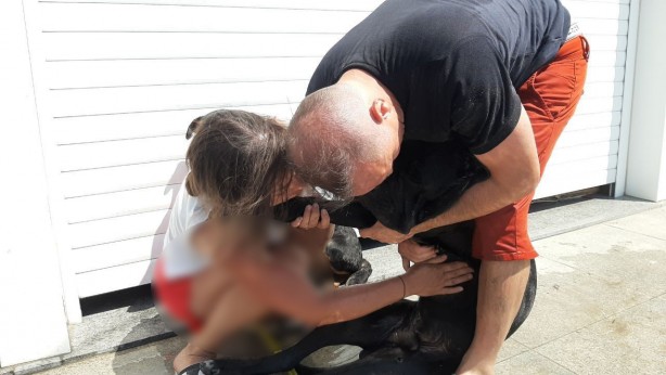 Sorumsuzluk can aldı! Sıcakta araçta bıraktıkları köpek öldü