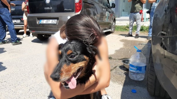 Foto - Sorumsuzluk can aldı! Sıcakta araçta bıraktıkları köpek öldü