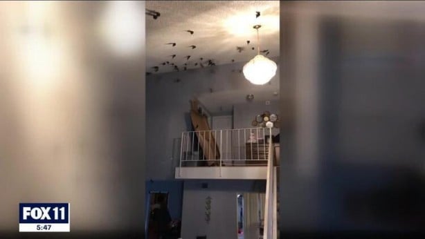 Foto - Sosyal medya ayağa kaldıran 3 başlı yılan olayı! Gerçeği görenler şok oldu
