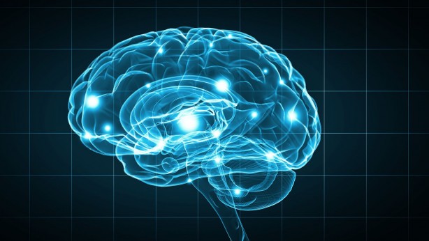 Foto - Sosyal medya bunu konuşuyor! 3 soruyu 100 kişiden 7’si çözebiliyor