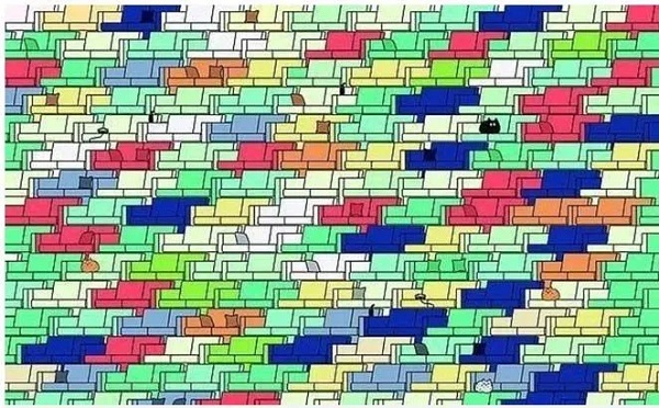 Foto - Sosyal medyada çok popüler | Ne kadar dikkatlisin tıkla gör!