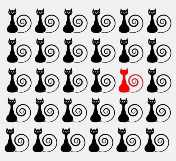 Foto - Sosyal medyada çok popüler | Ne kadar dikkatlisin tıkla gör!