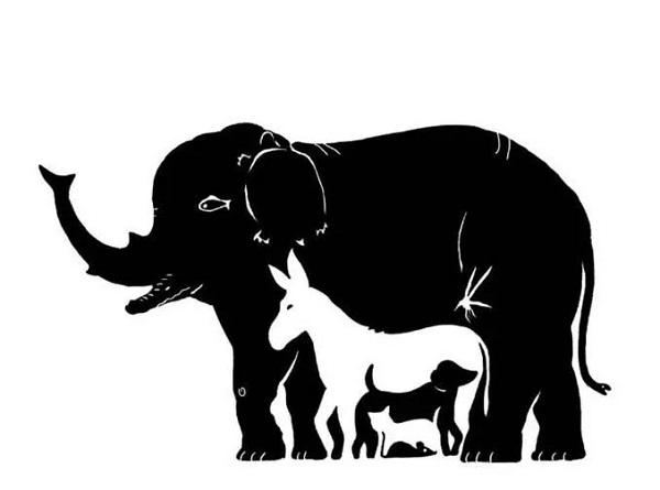 Foto - Sosyal medyada çok popüler | Ne kadar dikkatlisin tıkla gör!