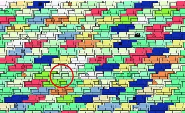 Foto - Sosyal medyada çok popüler | Ne kadar dikkatlisin tıkla gör!