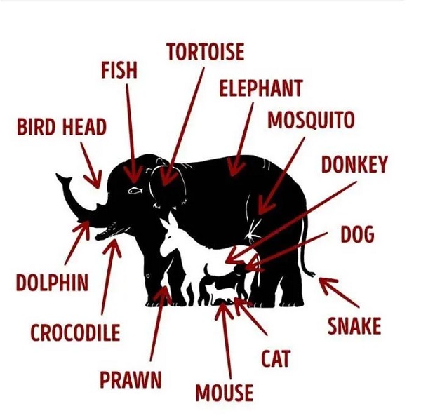 Foto - Sosyal medyada çok popüler | Ne kadar dikkatlisin tıkla gör!