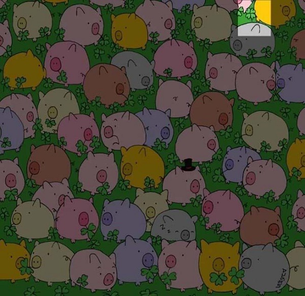 Foto - Sosyal medyada çok popüler | Ne kadar dikkatlisin tıkla gör!