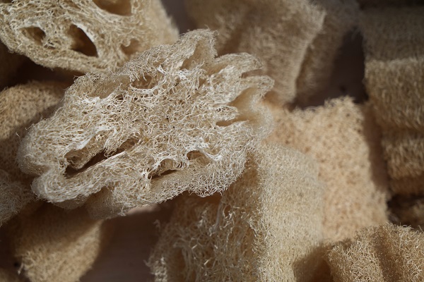 Foto - Sosyal medya etkili oldu! Neredeyse her eve girdi