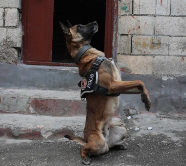 Foto - Sosyal medya fenomenine uyuşturucudan gözaltı!