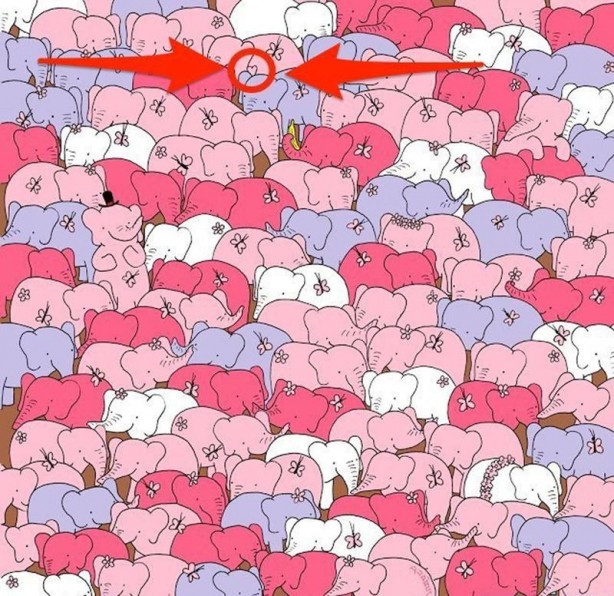 Foto - Sosyal medyada beyin yaktı! Herkes bu mantık sorusunu çözemiyor